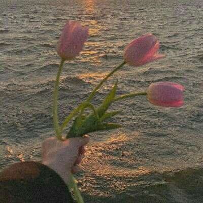 吉普车越野挑战赛